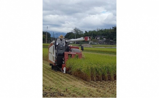 熊本県 錦町産 ひのひかり 10kg（白米）