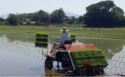 熊本県 錦町産 ひのひかり 10kg（白米）