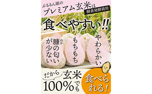 ＜酵素発酵特別栽培＞ 酵素発酵玄米 (900g×2) プレミアム 玄米 酵素 発酵 美容 米 食品 F20E-812