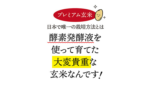 ＜酵素発酵特別栽培＞ 酵素発酵玄米 (900g×2) プレミアム 玄米 酵素 発酵 美容 米 食品 F20E-812