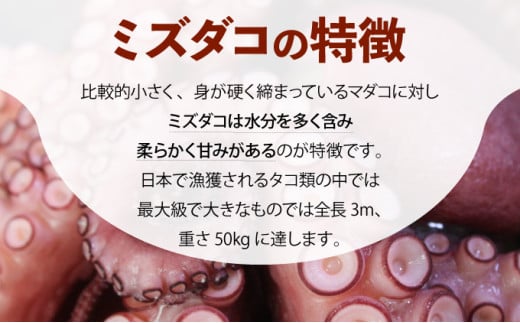 2025年2月以降出荷【極肉厚】遠別煮タコ足セット（約1.5㎏）								