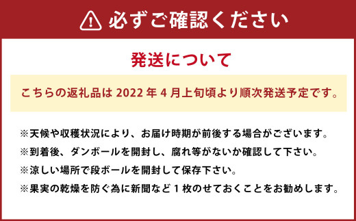 【2022年4月上旬～発送】甘夏みかん サラダ 玉ねぎ  セット 計5kg