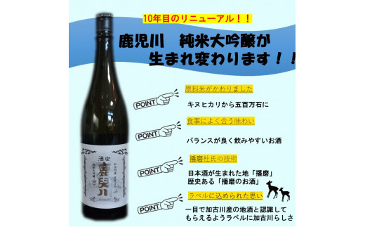 酒宝 鹿児川純米大吟醸 1800ml 1本セット【2401F02601】