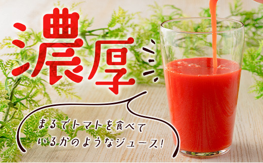 濃厚GOKUGOKU TOMATO（300ml×2本）無塩 トマトジュース【A298】