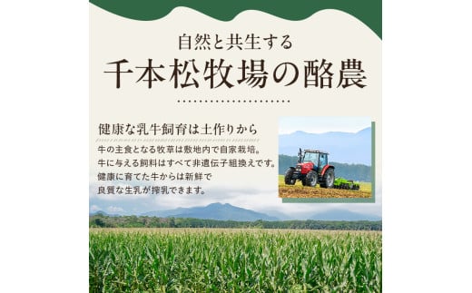 食べ比べセット　ピュアミルクアイス6個とミレピーニアイス6個【千本松牧場】 ns025-015-12 【アイスクリーム スイーツ デザート お菓子 詰め合わせ】