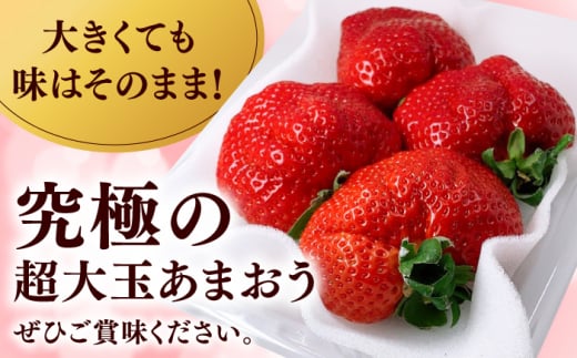 超大玉 あまおう 3玉〜6玉 約350g×2パック  