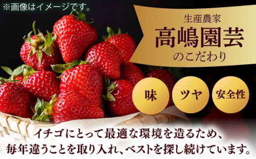 超大玉 あまおう 3玉〜6玉 約350g×2パック  