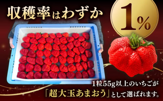 超大玉 あまおう 3玉〜6玉 約350g×2パック  