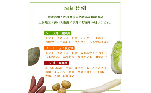 京都府産 季節の野菜セット 5～7品目【 綾部 京都 野菜セット 野菜 旬 野菜詰め合わせ 産地直送 食べ比べ 国産 季節の野菜 詰め合わせ セット 】