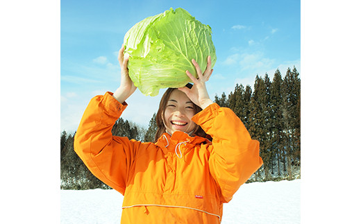 雪下キャベツで点心セット作っちゃいました！(焼売350g×2、小籠包340g×2) 点心セット 雪下キャベツ キャベツ 点心 焼売 しゅうまい シュウマイ 小籠包 セット 詰合せ めごい菜農園 食品 F4D-0477