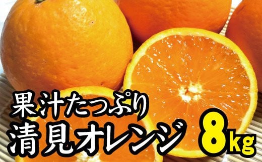 【農家直送】果汁たっぷり！清見オレンジ 約8kg  有機質肥料100%　 サイズ混合　※2024年3月上旬より順次発送予定（お届け日指定不可）【nuk112A】