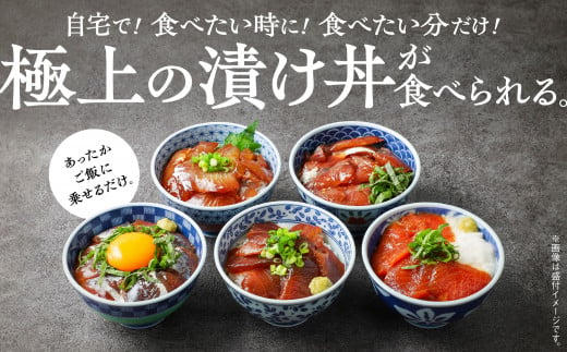 海鮮漬け丼セット 5種×2袋 60g×5袋  計300g 食べ比べ 訳アリ 訳あり 簡易包装 冷凍 海鮮丼 海鮮 マグロ サーモン タイ アジ イナダ 季節 魚 漬け 丼  魚介 簡単調理 お手軽 小分け パック 個包装 おすすめ  送料無料 【西村魚屋】