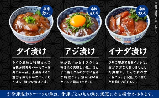 海鮮漬け丼セット 5種×2袋 60g×5袋  計300g 食べ比べ 訳アリ 訳あり 簡易包装 冷凍 海鮮丼 海鮮 マグロ サーモン タイ アジ イナダ 季節 魚 漬け 丼  魚介 簡単調理 お手軽 小分け パック 個包装 おすすめ  送料無料 【西村魚屋】