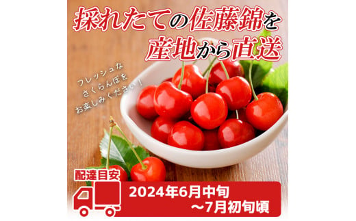 FYN9-935 ≪先行予約≫2024年 山形県産 さくらんぼ 佐藤錦 500g 秀/L以上 バラパック詰め 2024年6月中旬頃より発送 果物 くだもの フルーツ 夏果実 サクランボ チェリー 桜桃 高級 贈答 ギフト 産地直送 山形県 西川町 月山