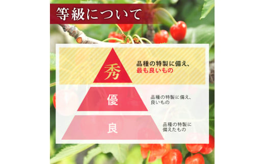 FYN9-935 ≪先行予約≫2024年 山形県産 さくらんぼ 佐藤錦 500g 秀/L以上 バラパック詰め 2024年6月中旬頃より発送 果物 くだもの フルーツ 夏果実 サクランボ チェリー 桜桃 高級 贈答 ギフト 産地直送 山形県 西川町 月山