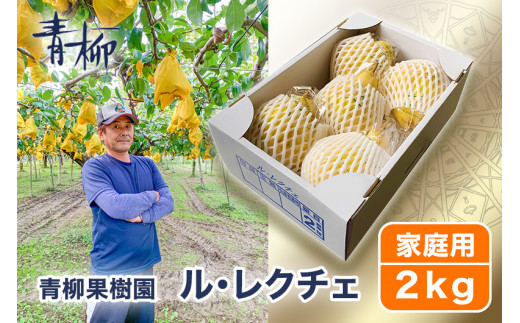 【2024年先行予約】新潟特産 幻の洋梨ル・レクチェ 家庭用 2kg（5〜7玉）《11月下旬から出荷》ルレクチェ 西洋梨 新潟県産 新潟産 果物 フルーツ 冬の味覚 産地直送加茂市 青柳果樹園