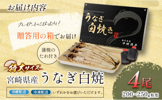 お歳暮対応「玄人の一品」うなぎ 白焼き ギフト 4尾（200～250g/1尾あたり) 宮崎県産鰻 蒲焼きタレ付（50ml×2本）配送日指定可 国産 有頭 熨斗 贈答品【N40】