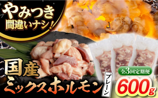 国産 長崎和牛 和牛 ホルモン ホルモンミックス 牛肉 ほるもん 冷凍 小分け 真空パック 味付き 焼肉 おつまみ 定期 定期便