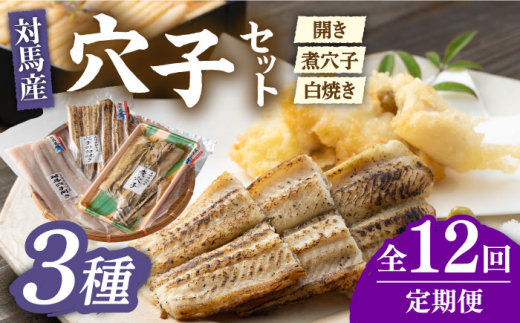 【全12回定期便】対馬 穴子 セット 500g《対馬市》【海風商事】国産 九州 長崎 煮穴子 白焼き [WAD040]冷凍 あなご 食べ比べ 白焼き 贈り物 ギフト 煮穴子 おかず もう1品 人気  定期便 毎月届く