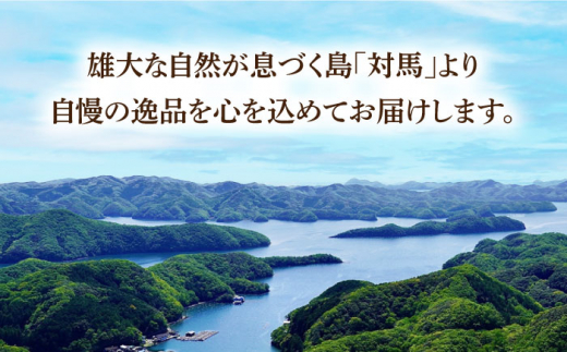 【全12回定期便】対馬 穴子 セット 500g《対馬市》【海風商事】国産 九州 長崎 煮穴子 白焼き [WAD040]冷凍 あなご 食べ比べ 白焼き 贈り物 ギフト 煮穴子 おかず もう1品 人気  定期便 毎月届く