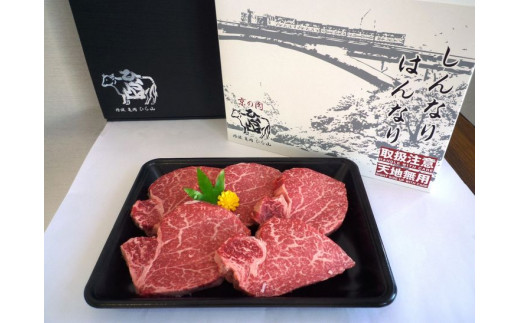 京都府産黒毛和牛（亀岡牛・京の肉・京都肉・丹波産）和牛ヒレステーキ 100g × 5枚