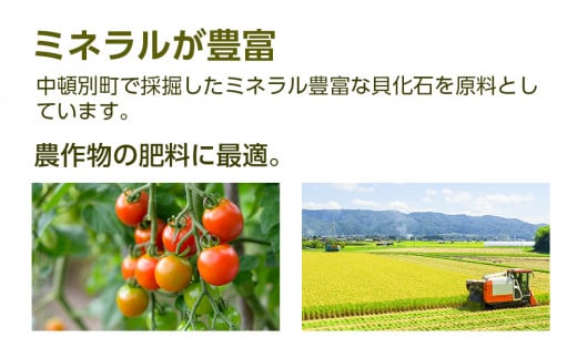 肥料 貝化石 20kg 2袋 土壌 改良 ミネラル 環境 【2024年4月以降発送】