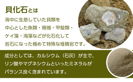 肥料 貝化石 20kg 2袋 土壌 改良 ミネラル 環境 【2024年4月以降発送】