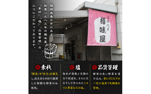 有明海産一番のり 自慢の味海苔6本セット(全形10枚分(8切80枚)×6本) 福岡県産有明のり 海苔 味海苔 有明海 一番摘み 常温 常温保存  国産【ksg0126】【樽味屋】