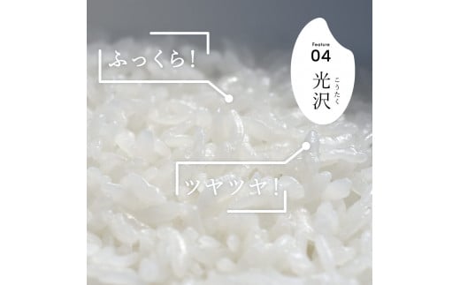 R6年産 無洗米 新潟県産 こしいぶき 2kg