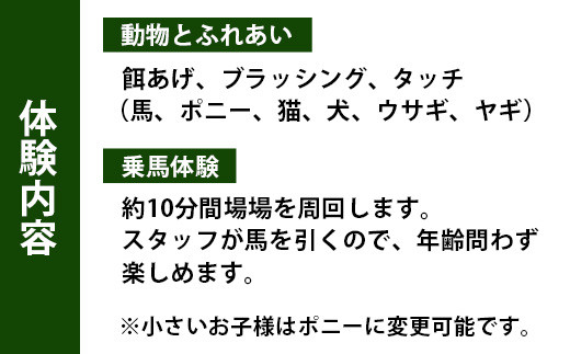 自然の中で動物とふれあい＆乗馬体験（1名）CC-1 徳島 那賀 体験 乗馬 乗馬体験  動物とふれあい アウトドア レジャー 1名様 1枚【体験チケット】 