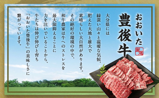 【大分県産】 豊後牛 焼肉用 カルビ 切り落とし 約5.5kg (約500g×11パック)