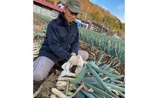 自慢の下仁田葱（LL 14本） とろける 甘い ねぎ ネギ 王様ねぎ 特産 栄養たっぷり ブランド 上州ねぎ すきやき F21K-045