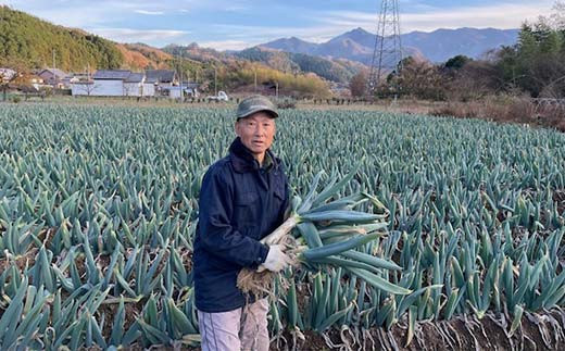 自慢の下仁田葱（LL 14本） とろける 甘い ねぎ ネギ 王様ねぎ 特産 栄養たっぷり ブランド 上州ねぎ すきやき F21K-045