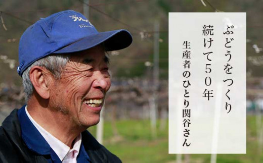 50年以上ぶどうを作り続けている関谷圀弘さんは、10種類以上のぶどうを栽培している、まさに小布施のぶどう名人です。