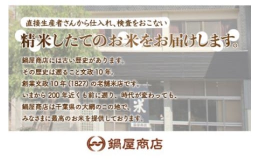 【新米】令和6年産 2年連続特A評価!千葉県産コシヒカリ10kg無洗米（5kg×2袋） 無洗米 10kg 千葉県産 大網白里市 コシヒカリ お米 米 こめ 送料無料