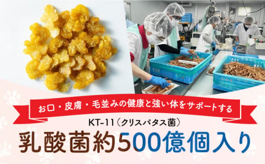 Softbits （野菜）えんどう豆（40g×6P）長崎県/株式会社サポート [42AEAE013] ソフトビッツ ドッグ フード いぬ 犬 イヌ おやつ ペット 乳酸菌 国産 果物 えんどう豆 えんどう エンドウ エンドウ豆 シニア 幼犬 老犬 小分け 小型犬 中型犬 大型犬 ドック 安心  犬のおやつ ベジタブル