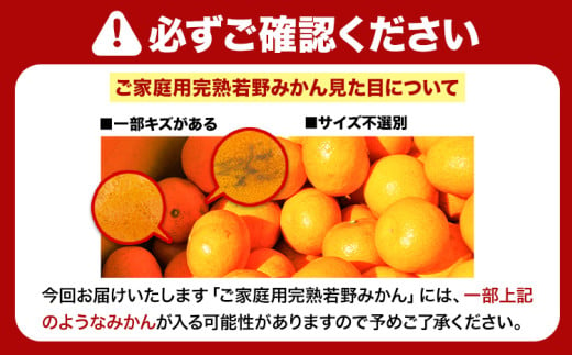 完熟 若野みかん 約 10kg S～Lサイズ ご家庭用 サイズ混合 圦本農園 《11月下旬-1月上旬頃出荷》 和歌山県 日高川町 若野 みかん ミカン 完熟 フルーツ 果物