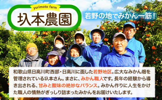 完熟 若野みかん 約 10kg S～Lサイズ ご家庭用 サイズ混合 圦本農園 《11月下旬-1月上旬頃出荷》 和歌山県 日高川町 若野 みかん ミカン 完熟 フルーツ 果物