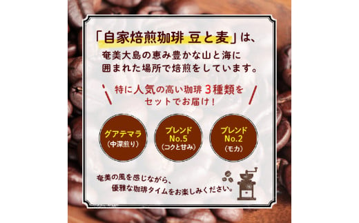 【ギフト用】【自家焙煎】豆と麦の人気コーヒー 200g×3種類セット（粉）　A017-012-04