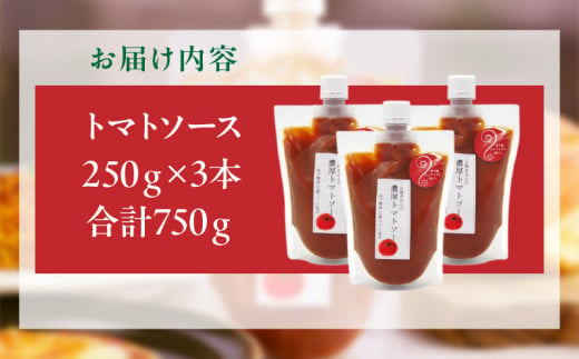 高千穂産完熟トマト使用 濃厚トマトソース3本セット_Tk050-009