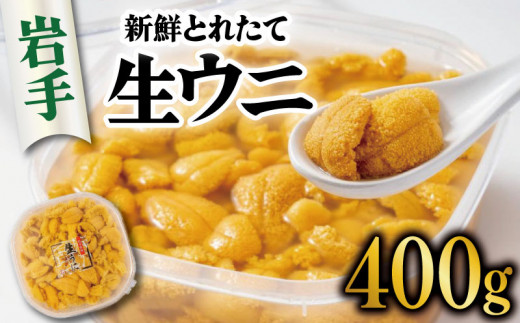 期間限定 生うに 400g 無添加 ミョウバン不使用 冷蔵 岩手県 ［ 季節限定 生うに 生雲丹  天然 海鮮丼 寿司 ウニ丼 刺身 30000円 3万円 ］ 