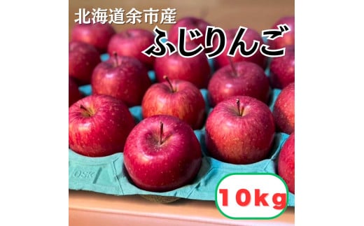 【北海道余市町産】りんご（ふじ）10kg