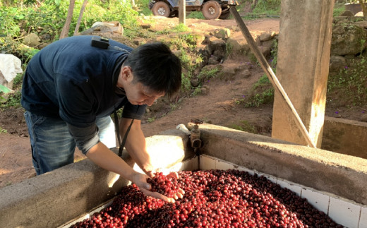 豆ポレポレのオーレのもーっと黒糖＆コーヒーバッグ10個【 コーヒー coffee 珈琲 専門店 自家焙煎 世界大会受賞 黒砂糖 リキッドコーヒー カフェオレベース ドリップコーヒー おまかせ セット 詰合せ 贈答用 ギフト 沖縄 沖縄県産 豆ポレポレ 】