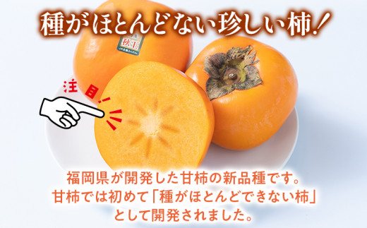 福岡県産ブランド柿「秋王」 秋王・柿　約1.5kg(4-6玉)