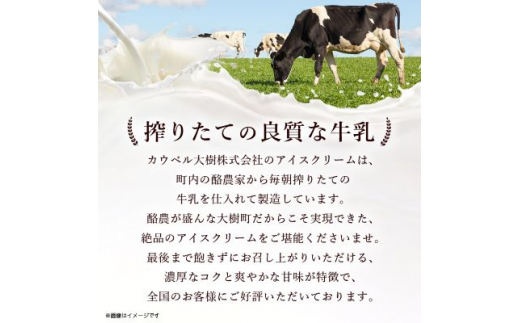 ＜2ヵ月毎定期便＞カウベルアイスクリーム9種16個セット 新鮮濃厚ミルク 北海道産素材全3回【4008596】