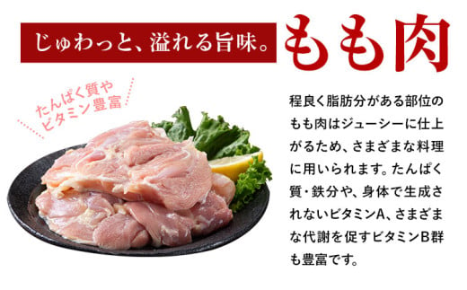 はかた一番どり バラエティセット もも肉 むね肉 手羽元 計 3kg 《30日以内に出荷予定予定(土日祝除く)》福岡県 鞍手郡 鞍手町 大容量 鶏肉 鳥肉 冷凍 送料無料 株式会社あらい 鶏モモ肉 鶏むね肉 鳥 鶏