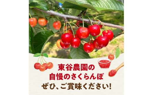 【2025年初夏発送】さくらんぼ 毎年大好評！こだわりの東谷農園 余市産 さくらんぼ 1kg