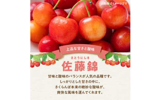 【2025年初夏発送】さくらんぼ 毎年大好評！こだわりの東谷農園 余市産 さくらんぼ 1kg