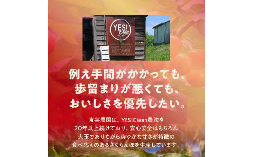 【2025年初夏発送】さくらんぼ 毎年大好評！こだわりの東谷農園 余市産 さくらんぼ 1kg