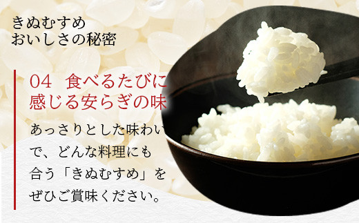 「令和6年産 新米 先行受付」 那賀町相生産 きぬむすめ 白米 10kg 1袋 「2024年10月上旬より発送」 【徳島 那賀 国産 徳島県産 お米 こめ おこめ 米 ご飯 ごはん 白ご飯 白米 10キロ 和食 おにぎり お弁当 白米 精米 おいしい 食べて応援 お取り寄せ 産地直送】YS-35